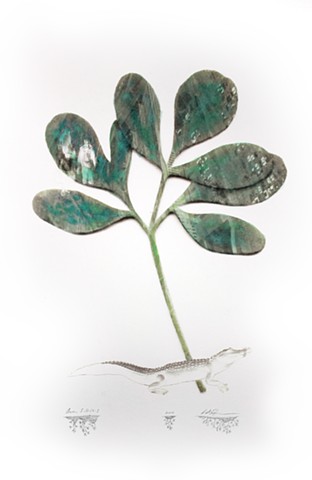 Awen 5•16•17•1