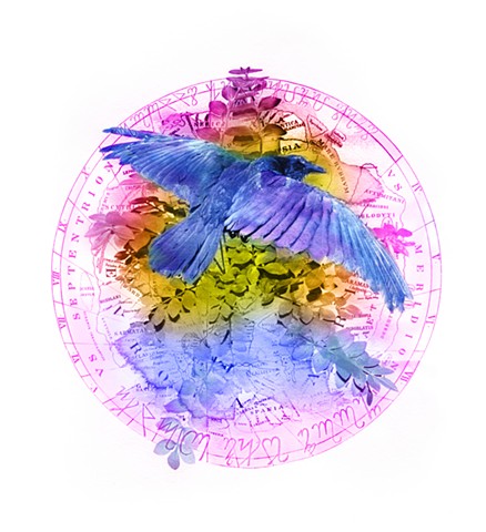 Raven and Jacob's Ladder