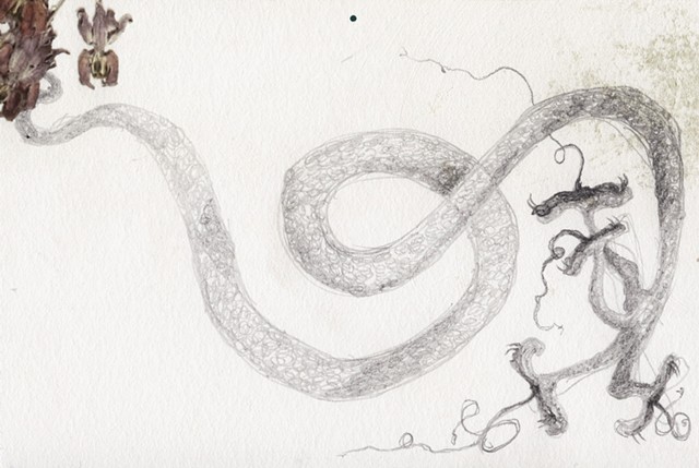 Automatic Evo-divination 8/15/17