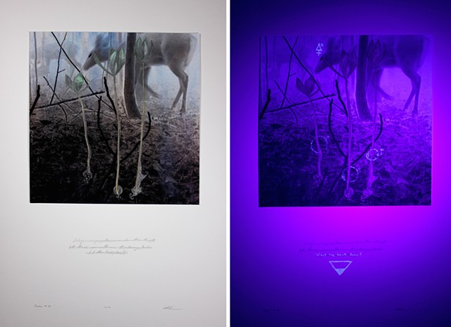 The right hand image is a detail under UV light.