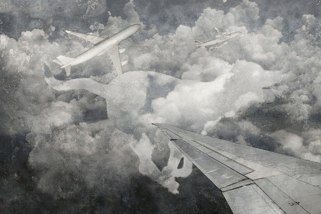 Flederhund (App) - 2013