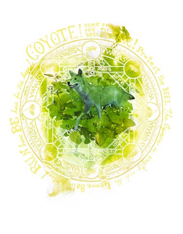 Coyote and Lemon Balm