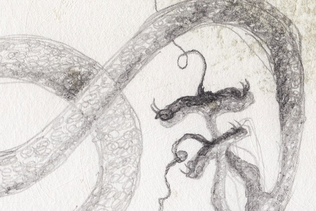 Automatic Evo-divinations (2016 - present)