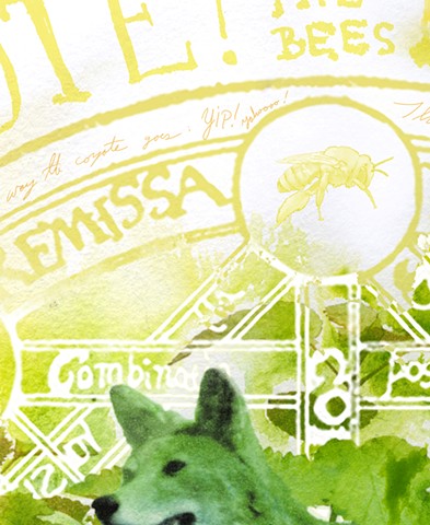 Coyote and Lemon Balm (detail)