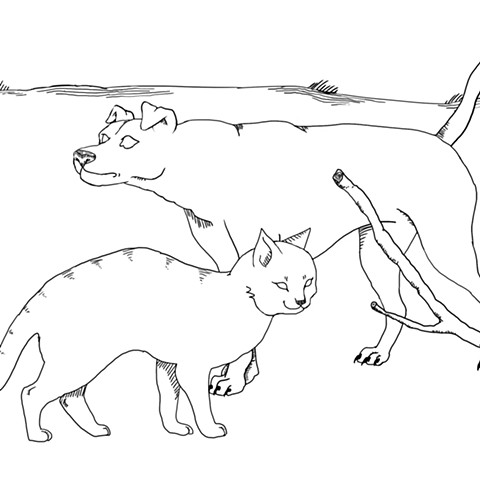 Familiar Shapes (20-minute Film)