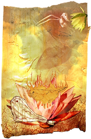 Logophilia - Metamorphosis