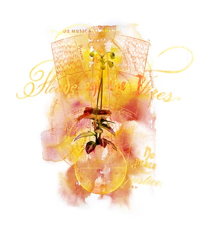 Striped Pipsissewa and Red-spotted Newt